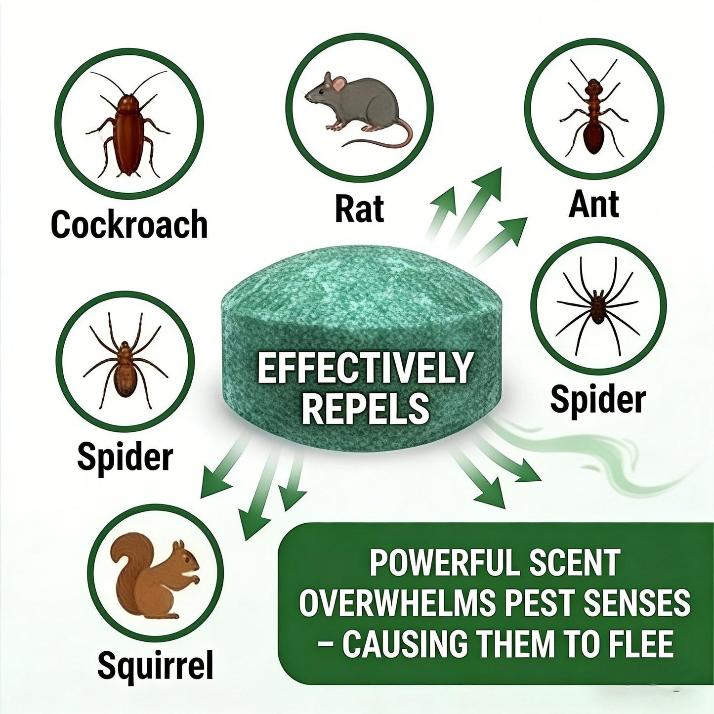 💥Limited-time event,🟢 Natural Peppermint Rodent Repellent Tablets – 12 Pack